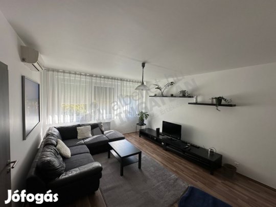 Kárpát utcában felújított, erkélyes panellakás eladó