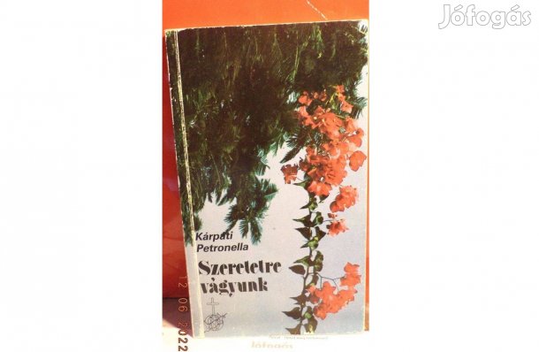 Kárpáti Petronella: Szeretetre vágyunk