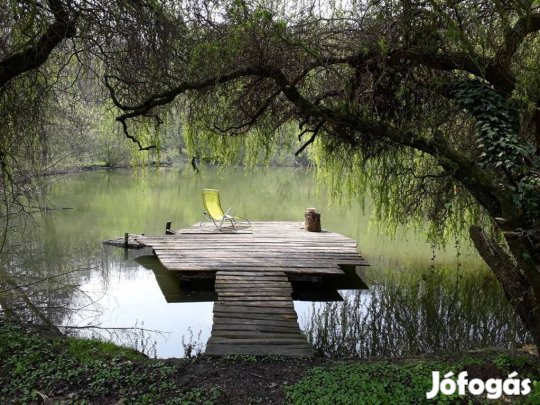 Kastélyszerű elegancia saját tóval a Zselic szívében