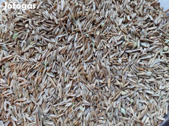 Kaszáló és Legelő Standard Fűmagkeverék, 4 komponensű, eladó postázva