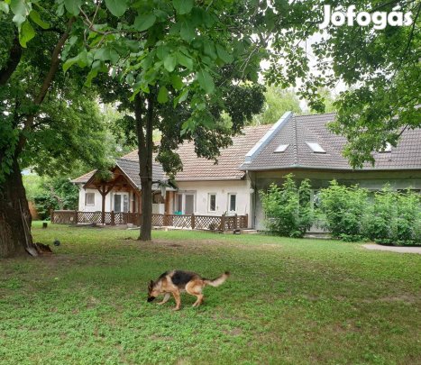 Katonatelepen 3700m2 telken, 7,5szobás, 2 rendbeli cs.ház eladó