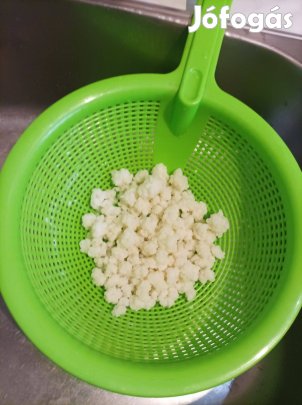 Kaukázusi kefirgomba