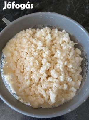 Kaukázusi kefírgomba eladó 1000Ft/50g, 2000Ft/100g,