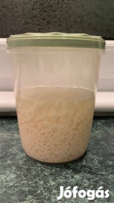 Kaukázusi kefírgomba eladó