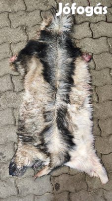 Kecskebőr több darab