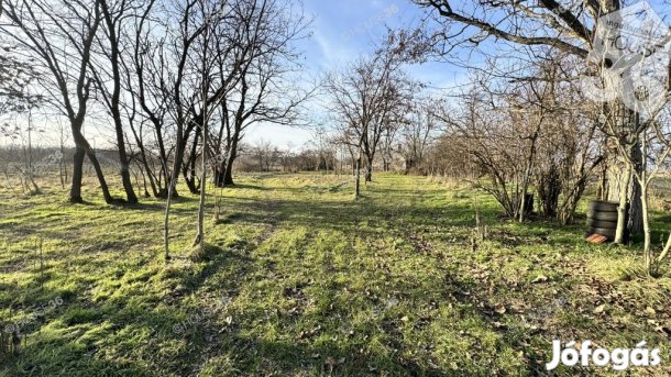 Kecskemét-Talfáján tanya eladó!