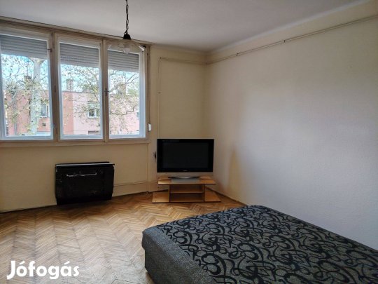 Kecskemét, Műkertben 1em. 1szobás lakás, garázzsal, tárolóval, kerttel