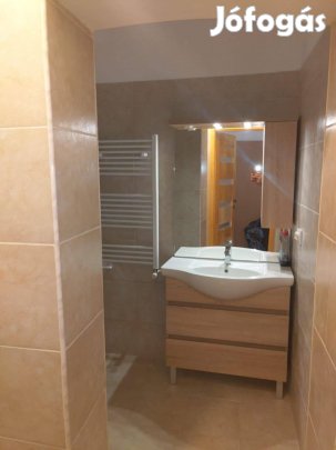 Kecskemét belvárosában 500 m2-es, 8 lakásos ingatlan eladó