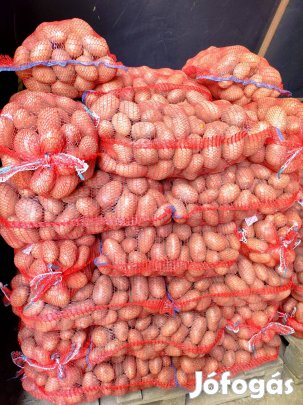 Kecskeméten eladó krumpli ( burgonya )