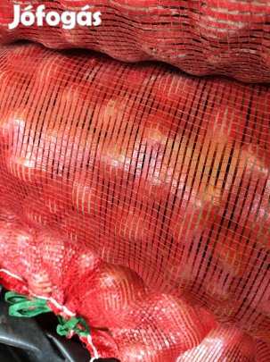 Kecskeméten eladó takarmányburgonya (krumpli)