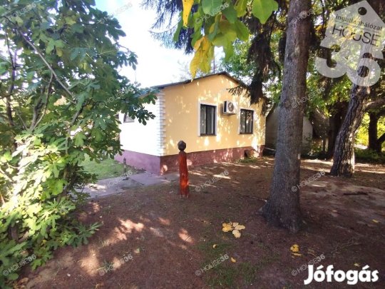 Kecskeméten hobbi ház termő gyümölcsössel ELADÓ!