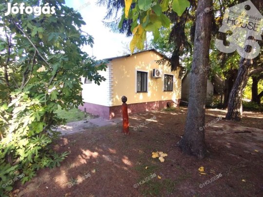 Kecskeméten hobbi ház termő gyümölcsössel ELADÓ!