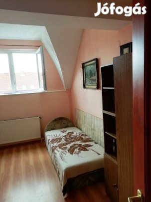 Kecskeméten igényes albérlet kiadó