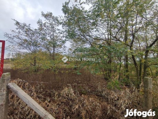 Kecskeméti 1119 nm-es telek eladó