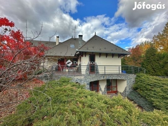 Kecskeméti 207 nm-es ház eladó