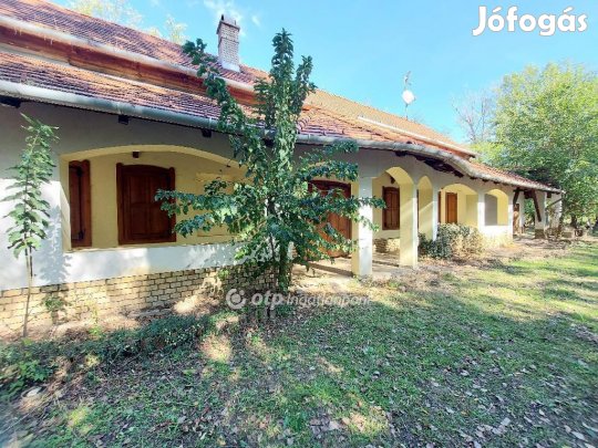 Kecskeméti 228 nm-es ház eladó