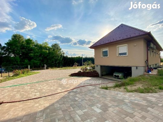 Kecskeméti 230 nm-es ház eladó