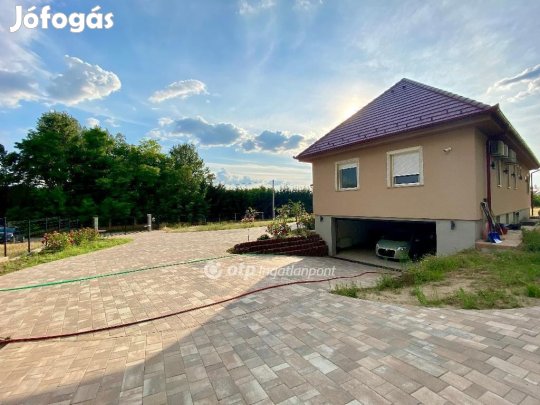 Kecskeméti 230 nm-es ház eladó