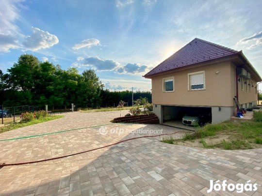 Kecskeméti 230 nm-es ház eladó