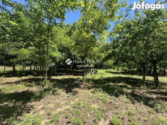 Kecskeméti 2500 nm-es telek eladó