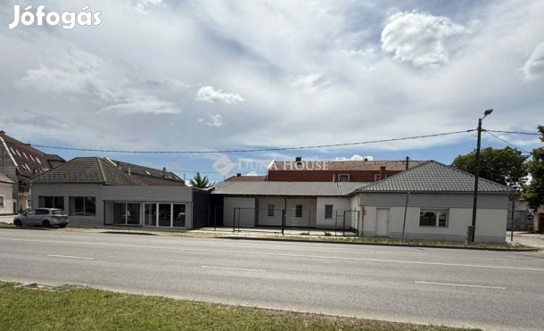 Kecskeméti 333 nm-es ház eladó