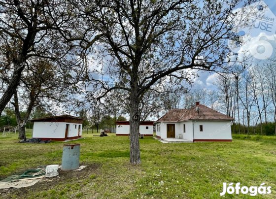 Kecskeméti 44177 nm-es mezőgazdasági ingatlan eladó
