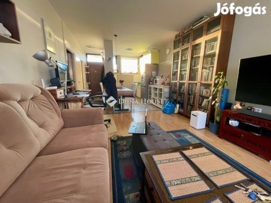Kecskeméti 47 nm-es lakás eladó