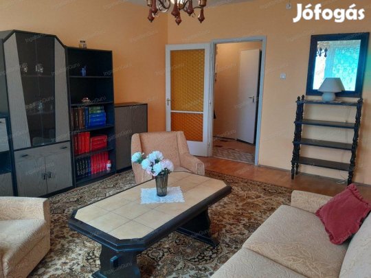 Kecskeméti 55 nm-es lakás eladó