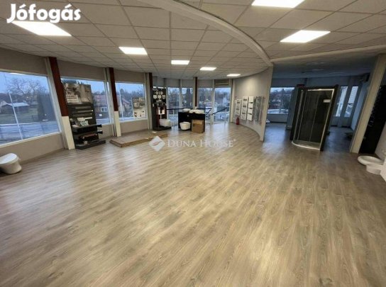 Kecskeméti 566 nm-es üzlethelyiség eladó #5144301