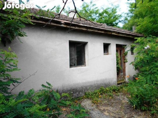 Kecskeméti 66 nm-es üzem eladó