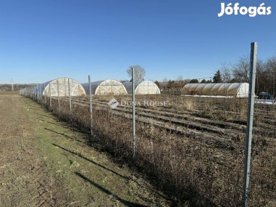 Kecskeméti 7207 nm-es telek eladó