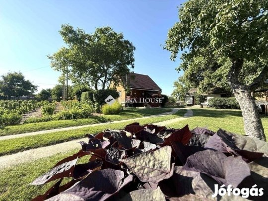 Kecskeméti 80 nm-es ház eladó