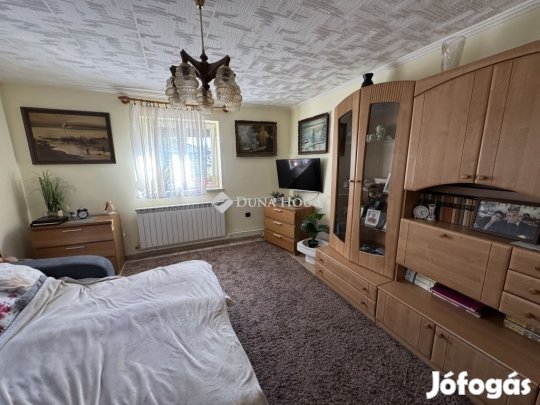 Kecskeméti eladó 160 nm-es ház