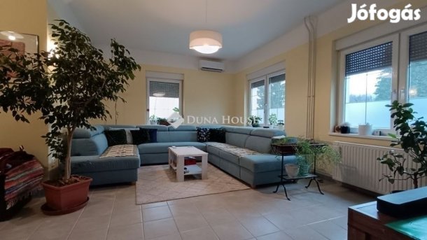 Kecskeméti eladó 215 nm-es ház