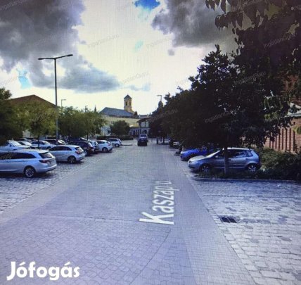 Kecskeméti eladó 270 nm-es ház