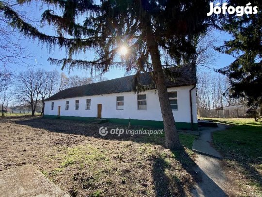 Kecskeméti eladó 292 nm-es ház
