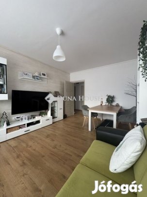 Kecskeméti eladó 60 nm-es lakás