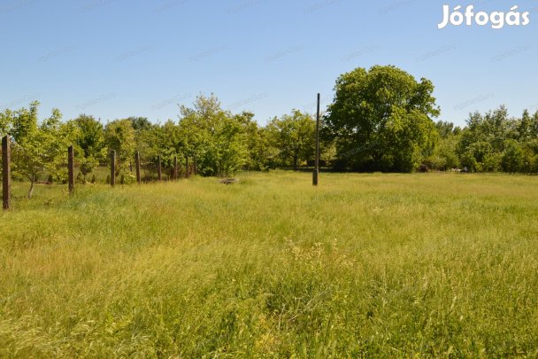Kecskeméti eladó 6432 nm-es telek