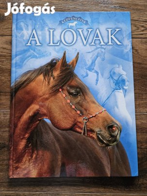 Kedvenceink A lovak