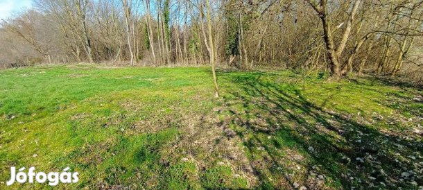 Kehidakustányban építési telek eladó