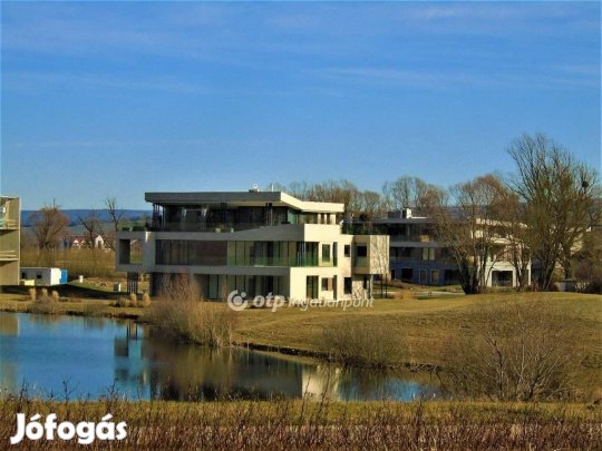 Kehidakustányi 134 nm-es lakás eladó