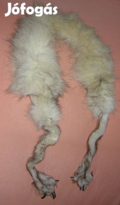 Kékróka gallér szép állapotban,-olcsón!