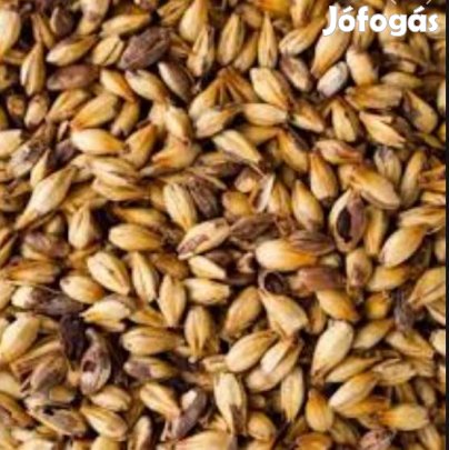 Keksz Maláta (Biscuit) EBC 50  1kg  (1030)