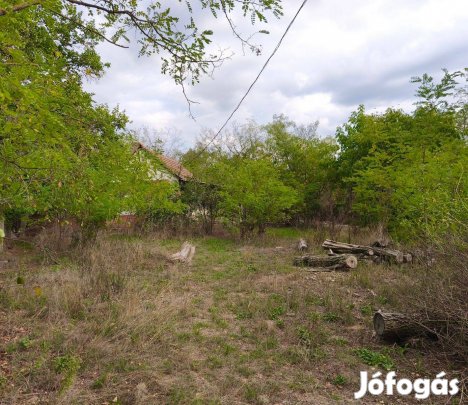 Kelebia - felújítandó tanya eladó