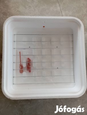 Keltetőgép eladó 70 férőhelyes 