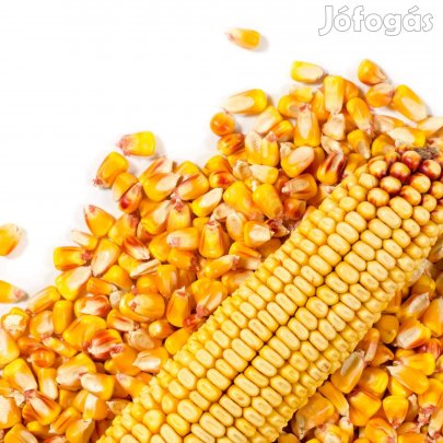Kemenessömjénben kukorica eladó!!! 