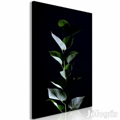 Kép - A holdfényben