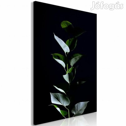 Kép - A holdfényben