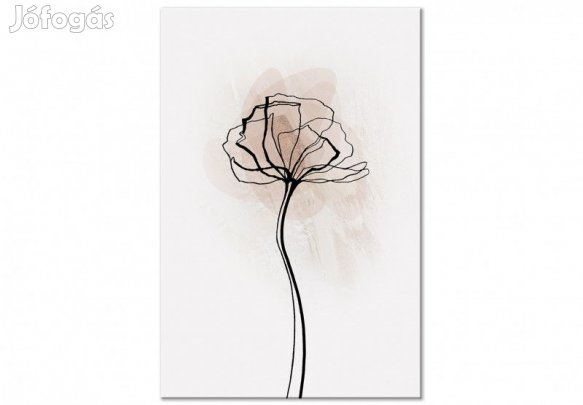 Kép - A naphoz közelítve