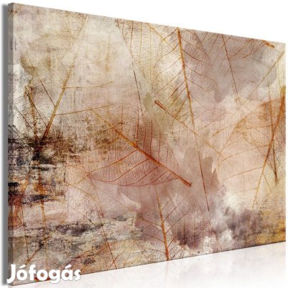 Kép - A természet lenyomata